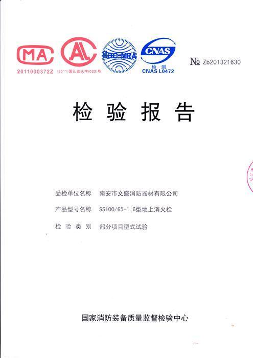 SS100-1_看圖王